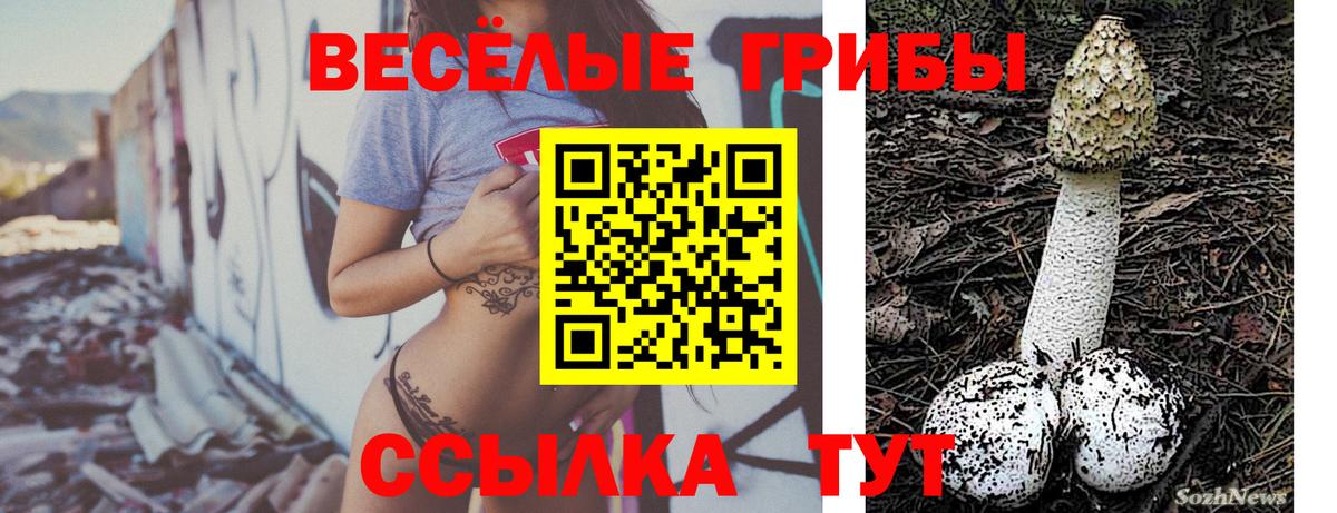 Фурманов  Псилоцибиновые грибы мицелий  Вход с VPN  Псилоцибиновые грибы мицелий 