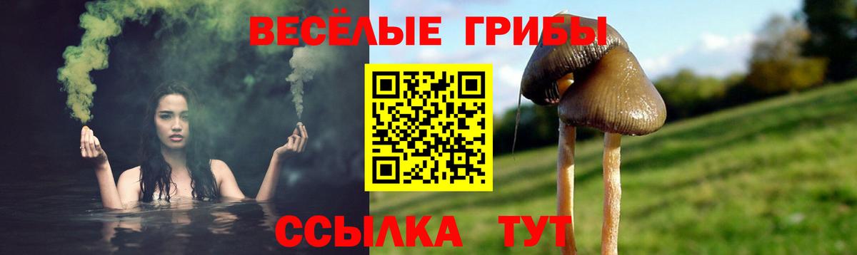 Псилоцибиновые грибы Psilocybine cubensis Фурманов